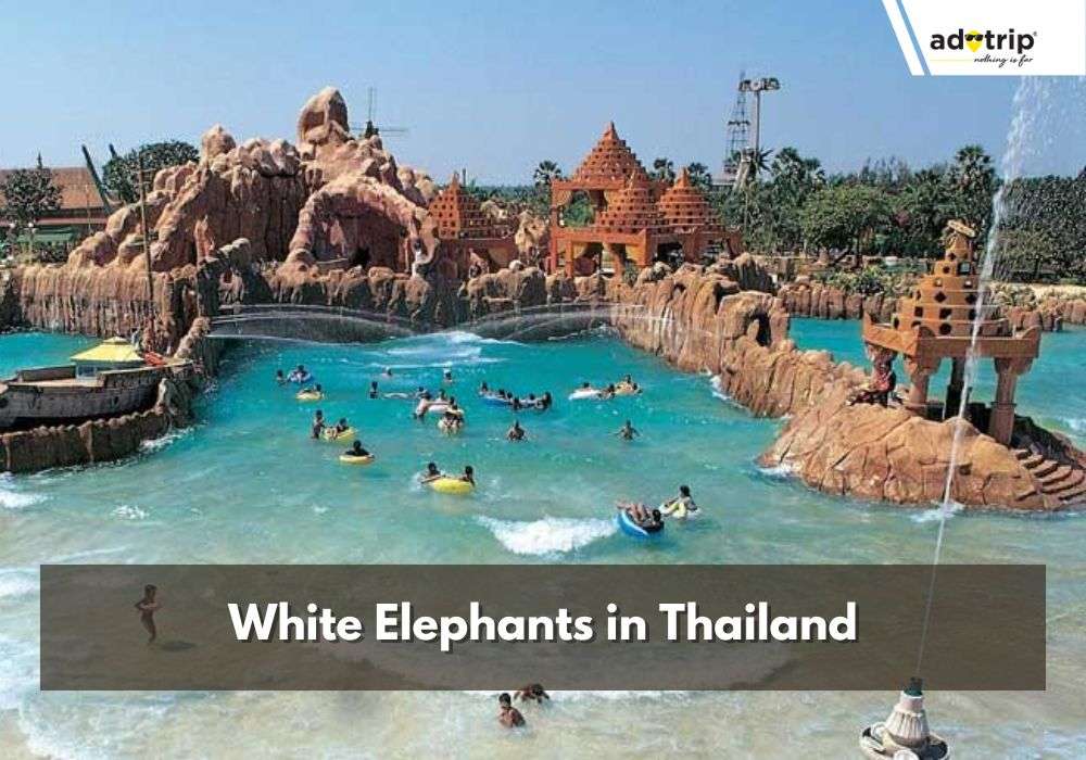 White Elephants In Thailand